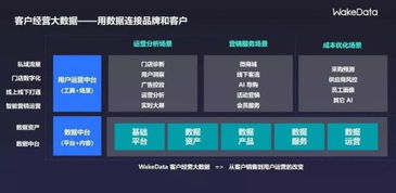 2019全球數字價值峰會 WakeData李柯辰——以數據為橋，連接品牌與客戶